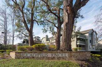 Remodeled, Single Level Condo at Eucalyptus Knoll