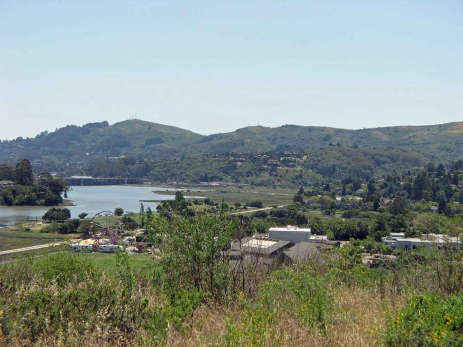 View of the bay from the  Alta Vista neighborhood