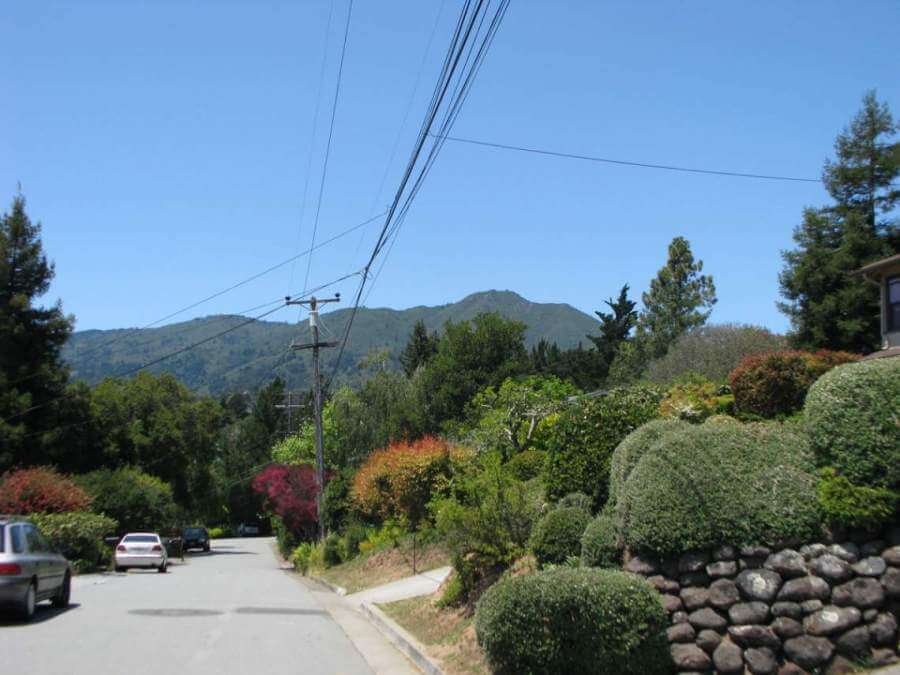 View of Mt. Tamalpais from the  Alta Vista neighborhood