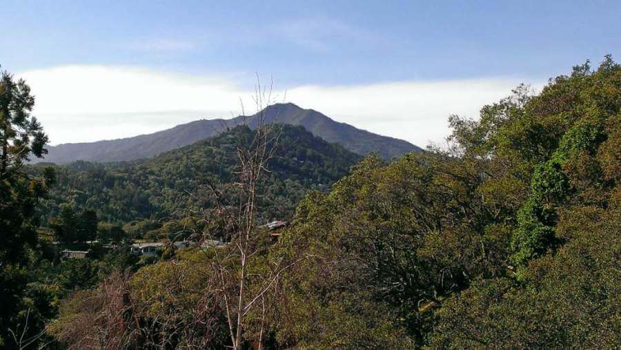 View of Mt. Tamalpais from Pleasant Valley, Corte Madera