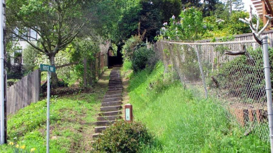 Stairs on Christmas Tree Hill, Corte Madera