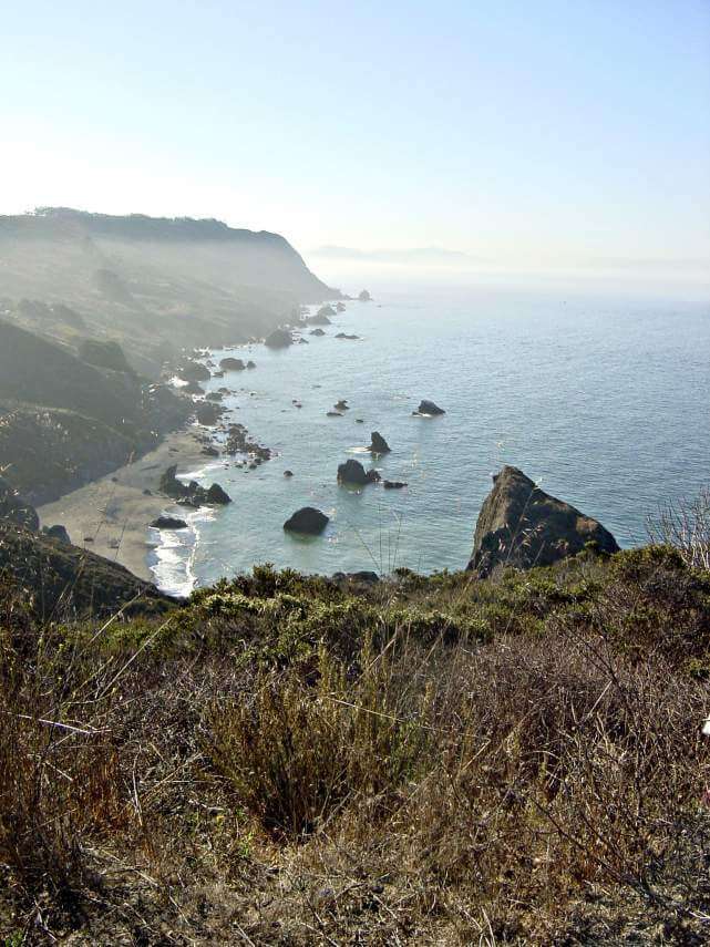 Marin Coast