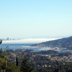 Hike in Marin, view of San Francisco and Bay
