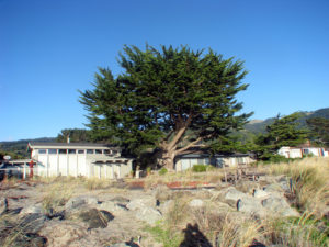 Stinson Beach, CA