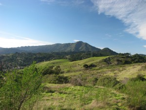 Hiking on Ring Mountain in Corte Madera, CA