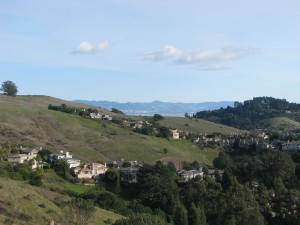 View of Tiburon Homes from Ring Mountain, Corte Madera, CA