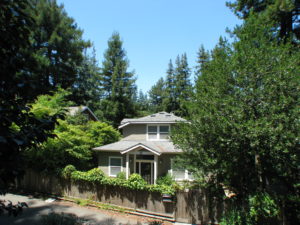 House in a redwood grove