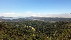 Mill Valley, CA from Mt Tamalpais to the bay