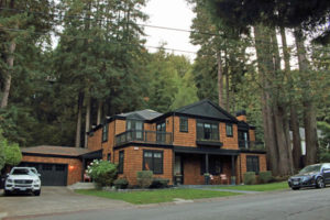 Marin County Home, Mill Valley, set in a redwood grove