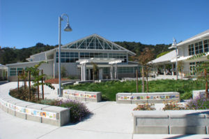 Edna McGuire School Mill Valley, CA contact