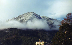 Snow on Mt Tamalpais, Marin County, CA