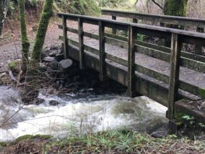 bridge-cascade-creek