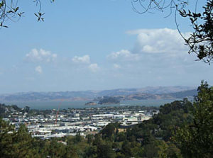 View from ridge in Oakwood Open Space SAn Rafael, CA greenwood-lot-view