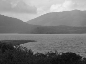 Lake Nicasio in the Rain, coutesy of Micheal Mundy