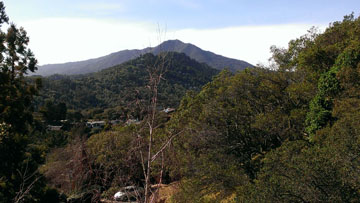 Corte Madera and Mt. Tamalpais from Upper Chapman Park