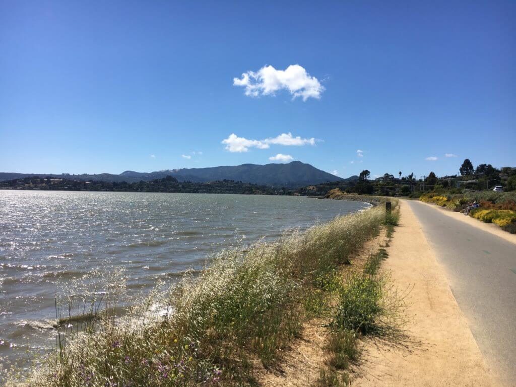 Tiburon Bay Trail with views of Richardson Bay and Mount Tamalpais