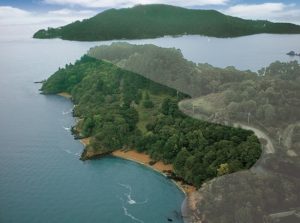 Aerial view of Bluff Point property for sale in Tiburon,CA