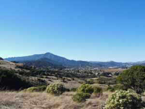 Corte Madera from Ring Mt