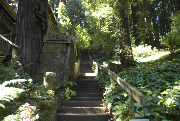 Second set of steps on Dipsea race