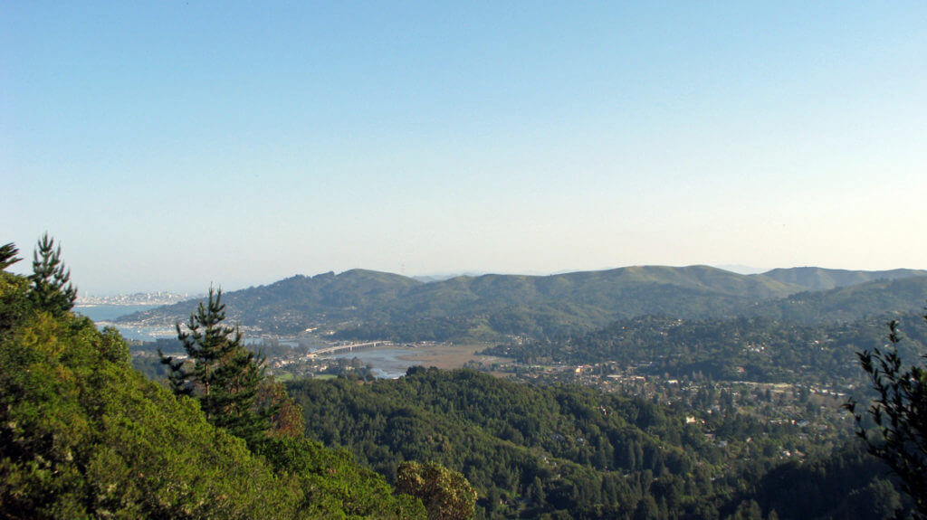 Marin From Christmas Tree Hill Corte Madera