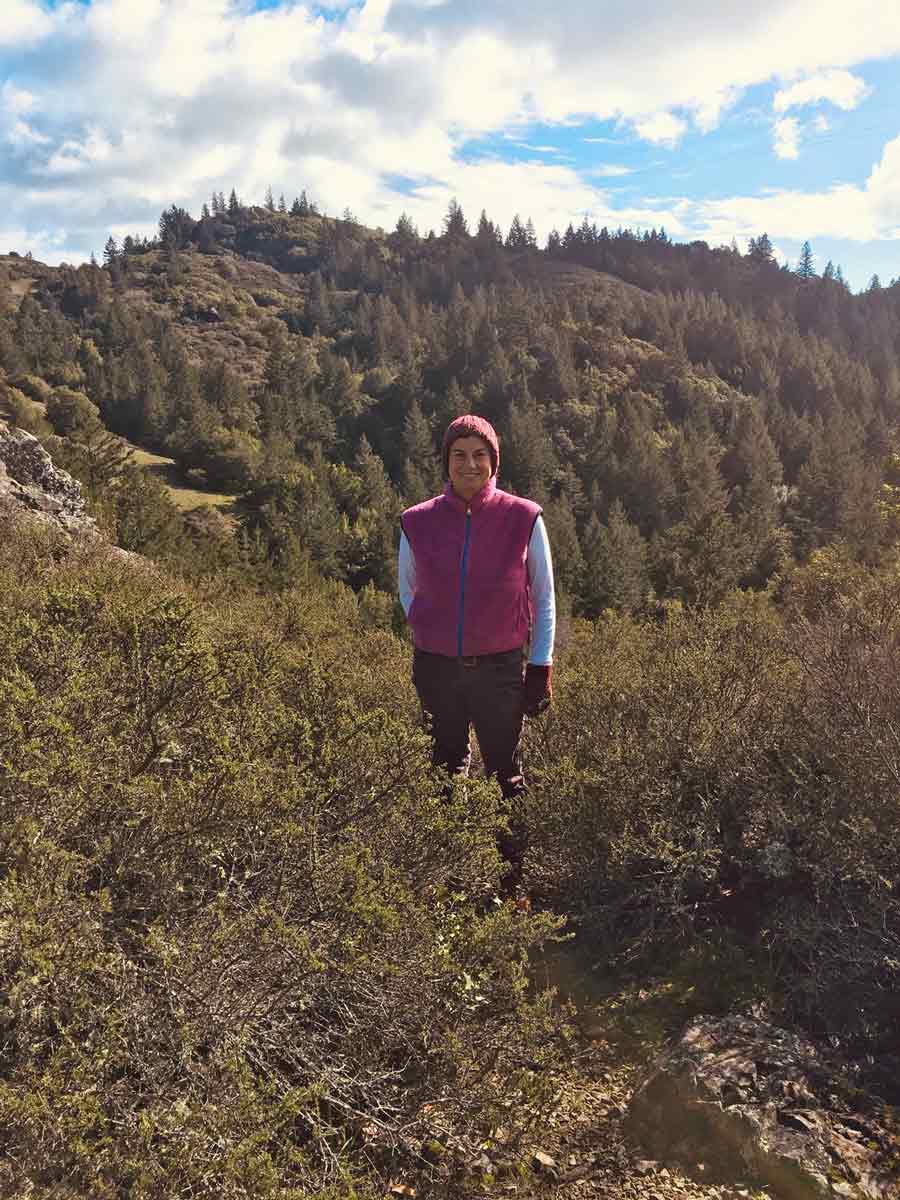 The top of Carson Falls, Marin County Watershed, Mount Tamalpais