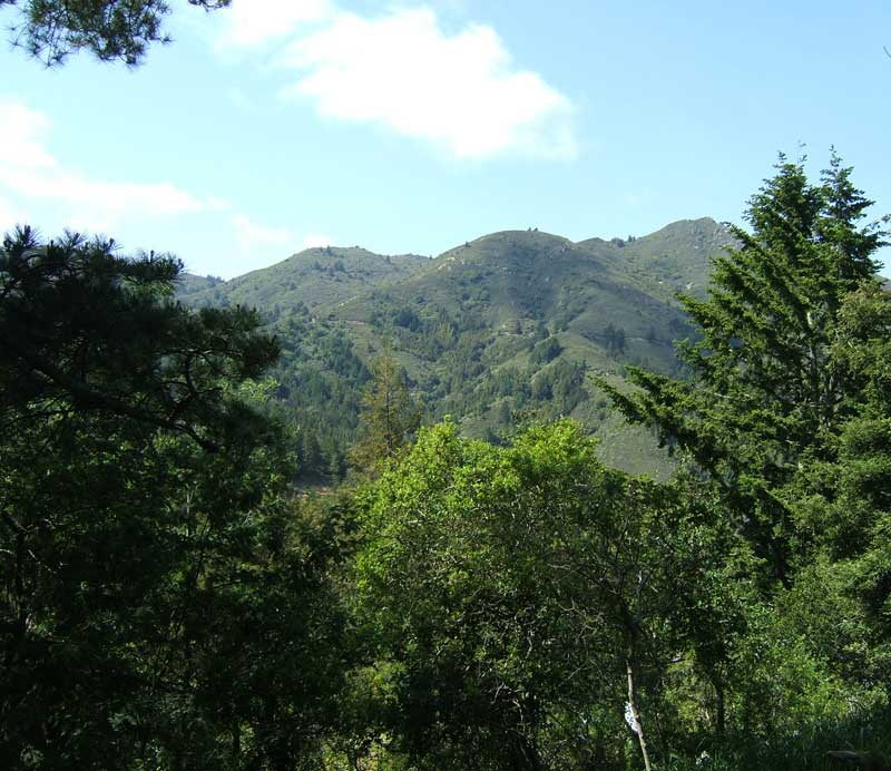 Mt Tamalpais from Panoramic Highway