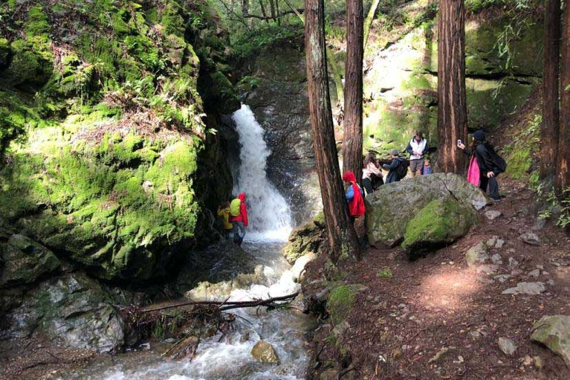 Cascade Falls, Mill Valley, CA