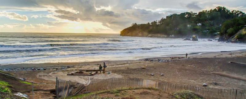 Muir Beach, Marin County, CA