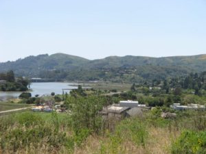 Richardson Bay in Mill Valley, CA